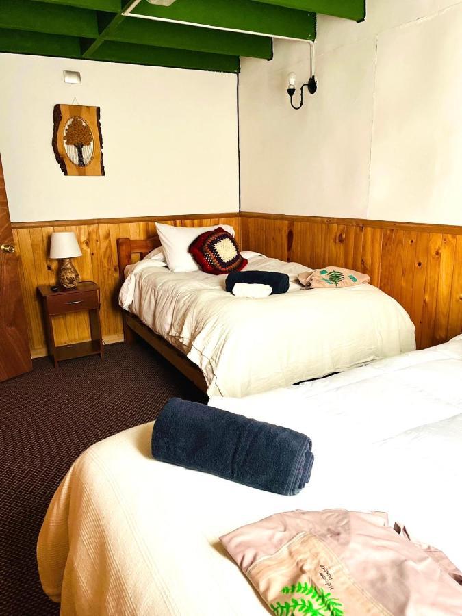 Profe Nelson Hostel Puerto Cisnes Buitenkant foto